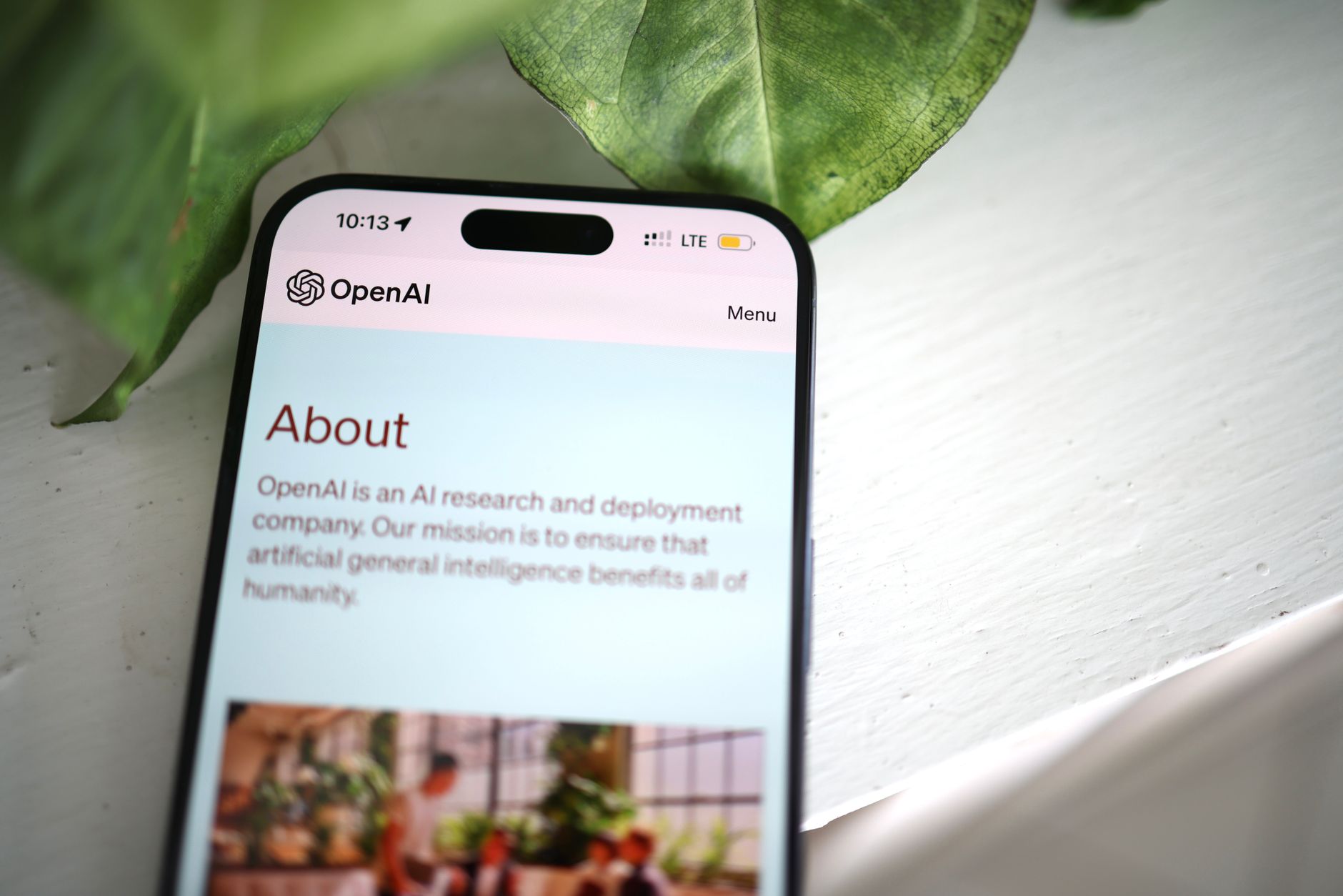 Ilustrasi: Close-up shot of a smartphone screen showing the OpenAI website with greenery in the background.